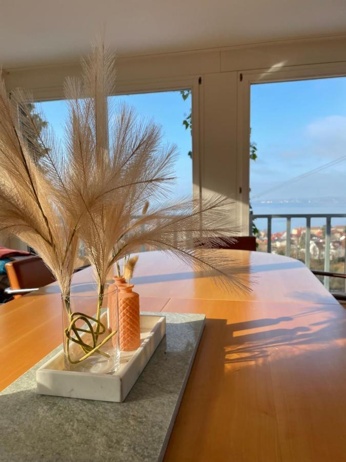 Villa Mit Traumhaftem Blick Uber Den Bodensee Bregenz Kültér fotó